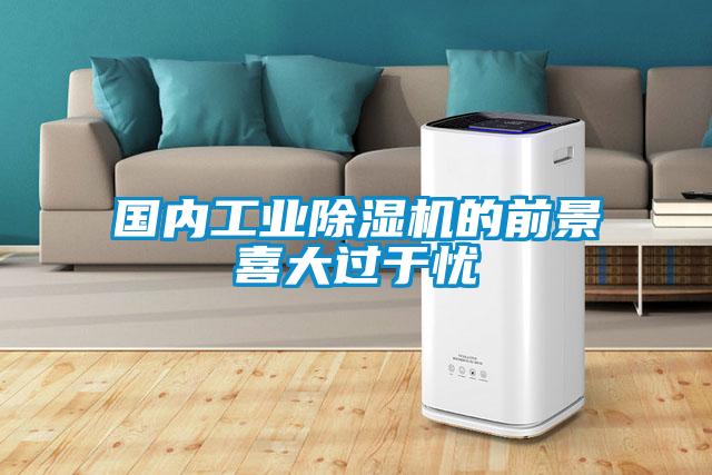 國內工業除濕機的前景喜大過于憂