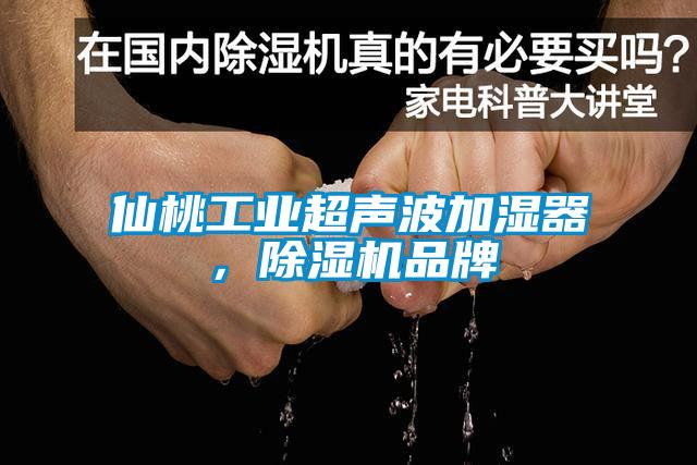 仙桃工業超聲波加濕器，除濕機品牌