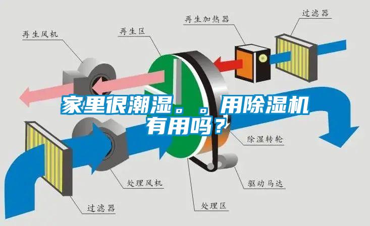 家里很潮濕。。用除濕機有用嗎？