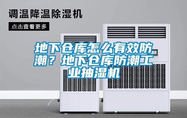 地下倉庫怎么有效防潮？地下倉庫防潮工業抽濕機