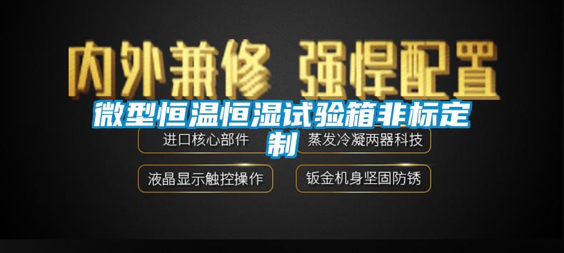 微型恒溫恒濕試驗箱非標(biāo)定制