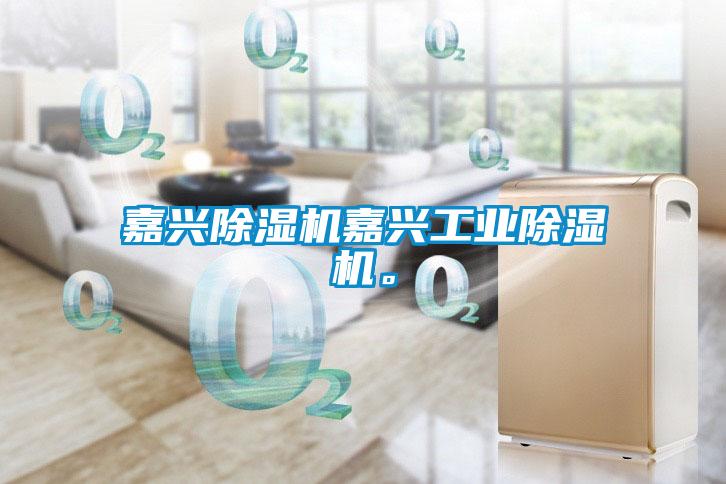 嘉興除濕機嘉興工業除濕機。