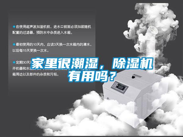 家里很潮濕，除濕機有用嗎？