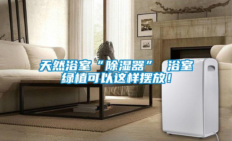 天然浴室“除濕器” 浴室綠植可以這樣擺放！