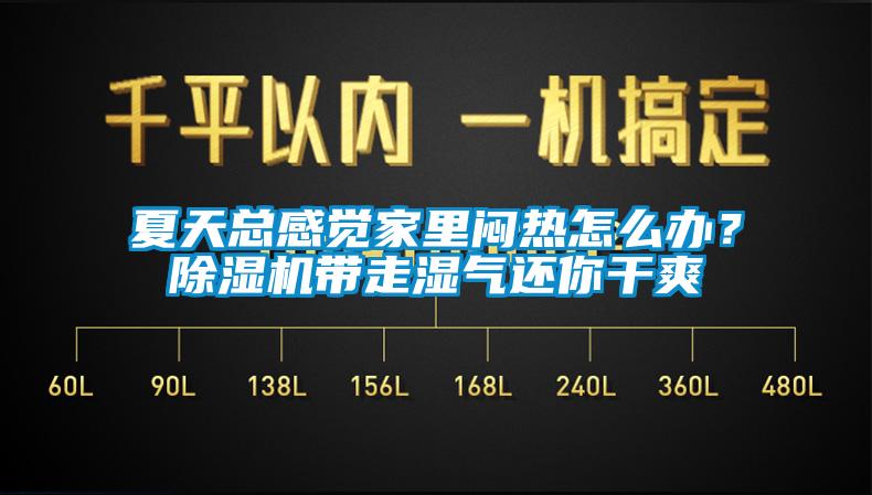 夏天總感覺家里悶熱怎么辦？除濕機帶走濕氣還你干爽