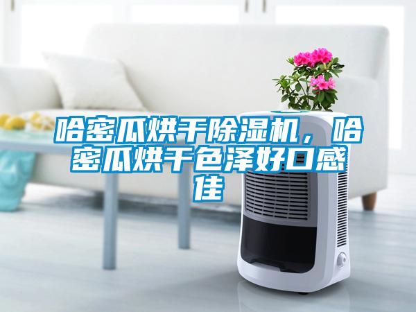 哈密瓜烘干除濕機，哈密瓜烘干色澤好口感佳