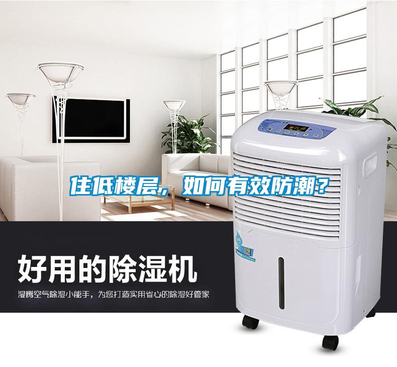 住低樓層，如何有效防潮？