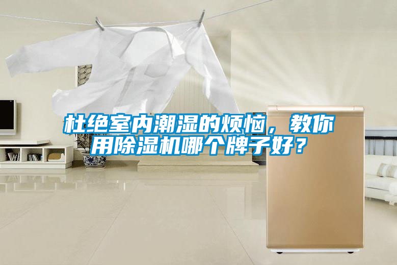 杜絕室內潮濕的煩惱，教你用除濕機哪個牌子好？