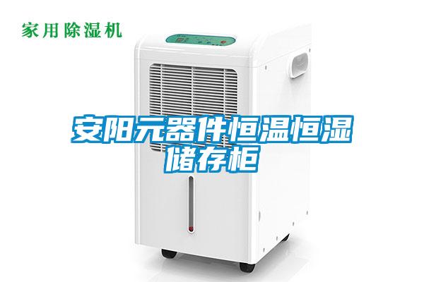 安陽元器件恒溫恒濕儲存柜