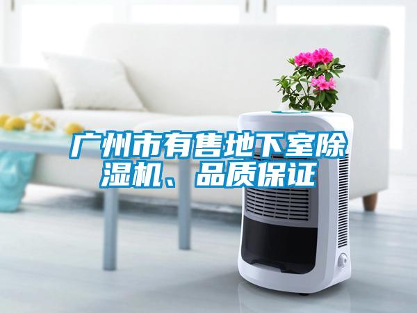 廣州市有售地下室除濕機、品質保證