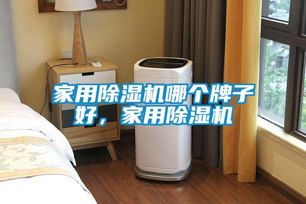 家用除濕機哪個牌子好，家用除濕機