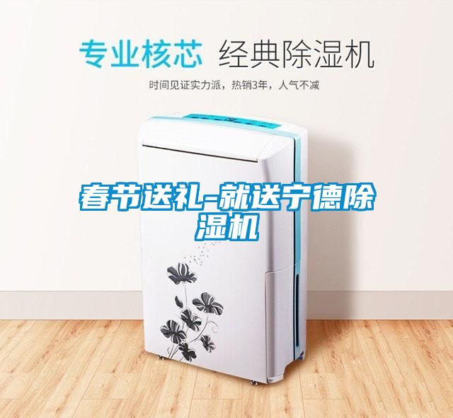 春節送禮-就送寧德除濕機