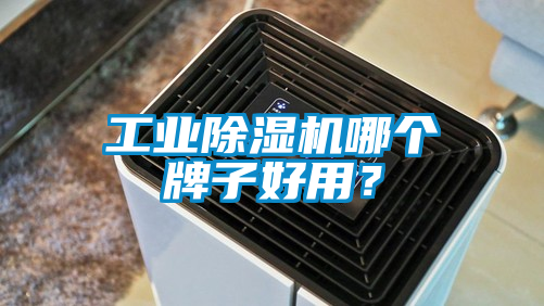 工業除濕機哪個牌子好用？