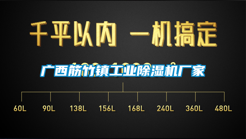 廣西筋竹鎮工業除濕機廠家