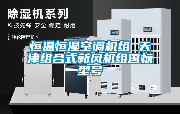 恒溫恒濕空調機組 天津組合式新風機組國標型號