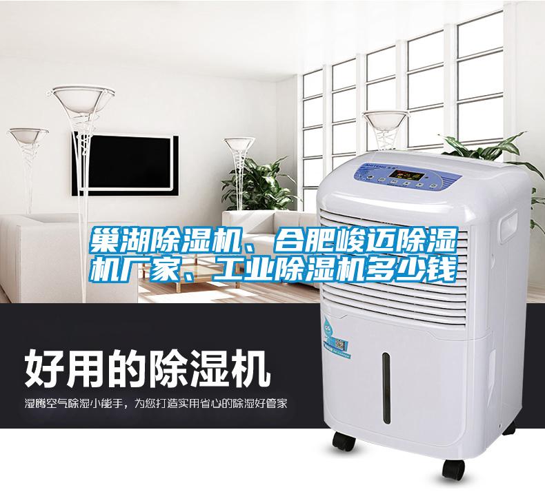 巢湖除濕機、合肥峻邁除濕機廠家、工業除濕機多少錢