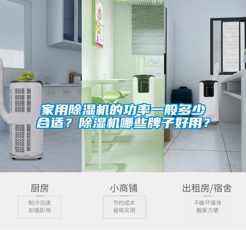 家用除濕機的功率一般多少合適？除濕機哪些牌子好用？