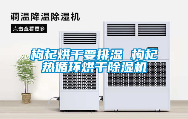 枸杞烘干要排濕 枸杞熱循環烘干除濕機