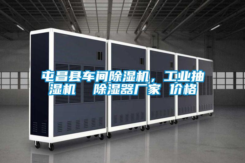 屯昌縣車間除濕機，工業抽濕機  除濕器廠家 價格