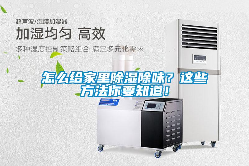 怎么給家里除濕除味？這些方法你要知道！