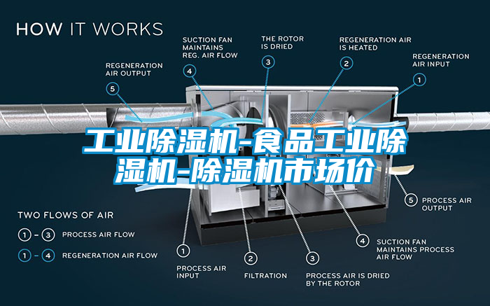 工業除濕機-食品工業除濕機-除濕機市場價