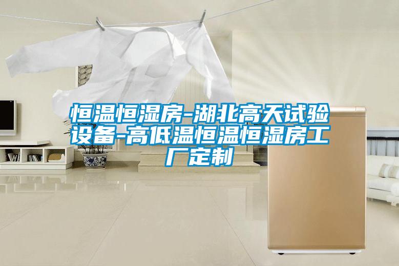 恒溫恒濕房-湖北高天試驗設備-高低溫恒溫恒濕房工廠定制