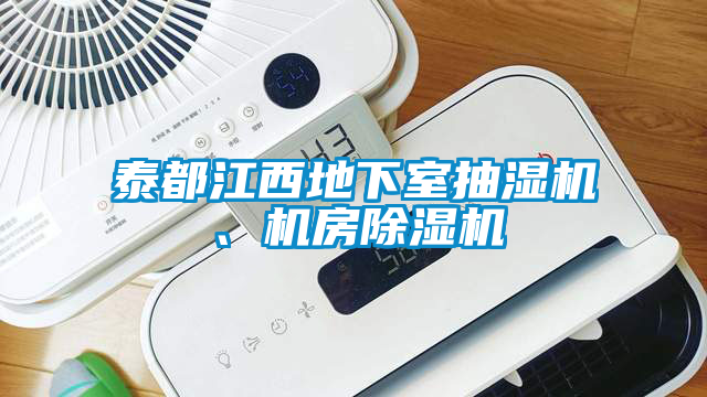 泰都江西地下室抽濕機、機房除濕機