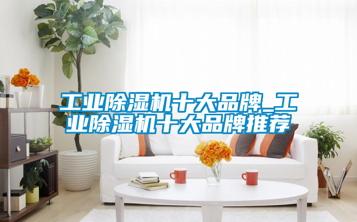工業除濕機十大品牌_工業除濕機十大品牌推薦