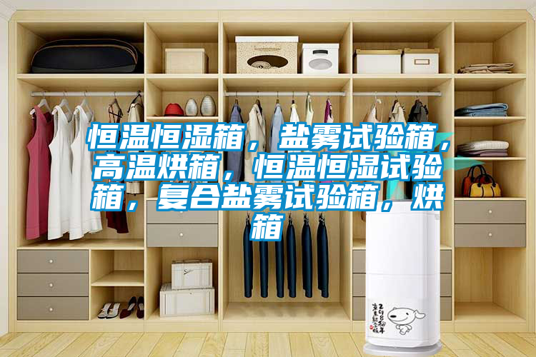 恒溫恒濕箱，鹽霧試驗(yàn)箱，高溫烘箱，恒溫恒濕試驗(yàn)箱，復(fù)合鹽霧試驗(yàn)箱，烘箱