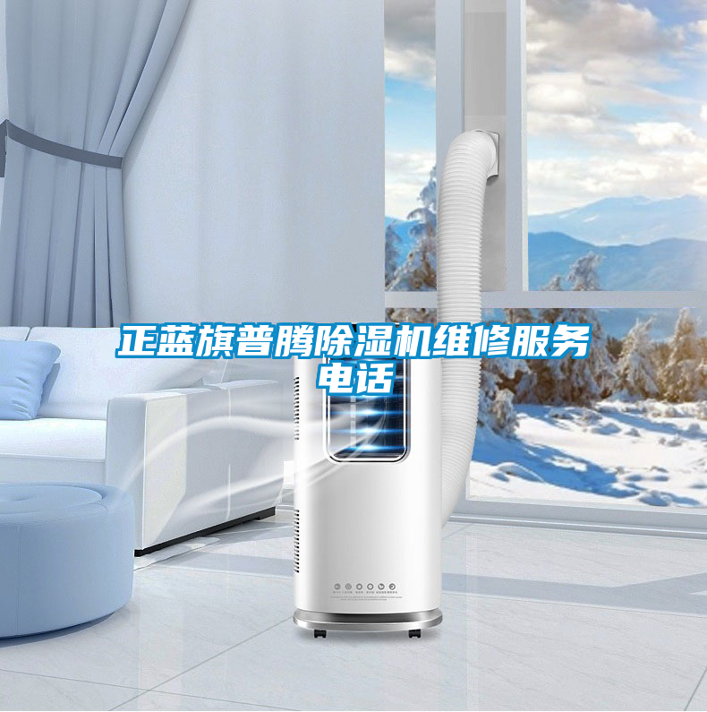 正藍旗普騰除濕機維修服務電話