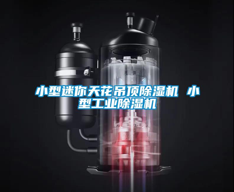 小型迷你天花吊頂除濕機 小型工業除濕機