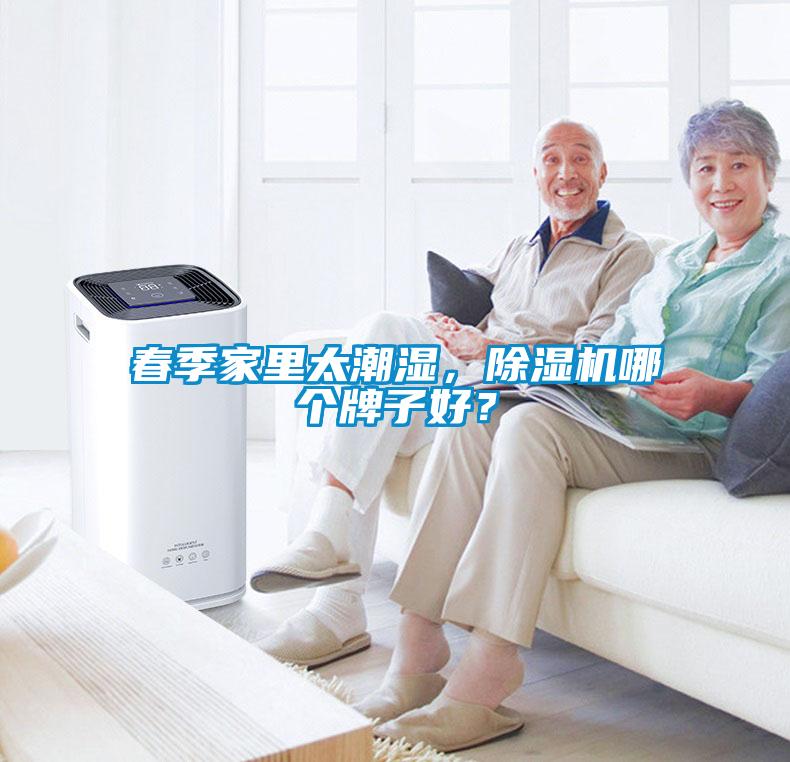 春季家里太潮濕，除濕機哪個牌子好？