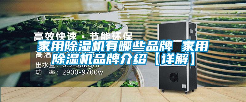 家用除濕機有哪些品牌 家用除濕機品牌介紹【詳解】