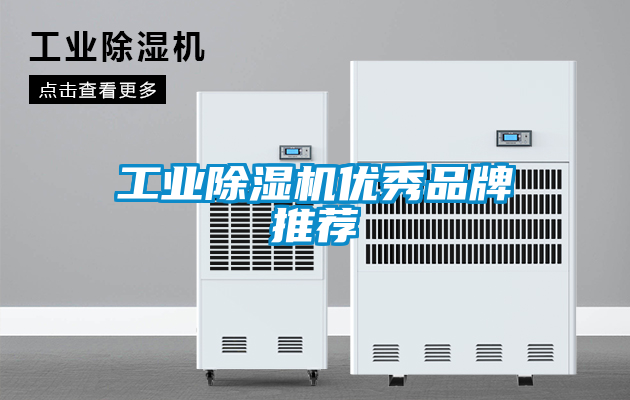 工業除濕機優秀品牌推薦