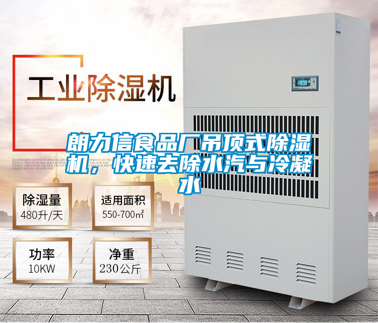 朗力信食品廠吊頂式除濕機(jī)，快速去除水汽與冷凝水