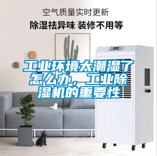 工業(yè)環(huán)境太潮濕了怎么辦，工業(yè)除濕機的重要性