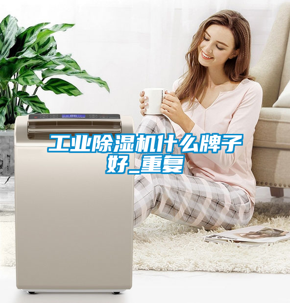 工業除濕機什么牌子好_重復