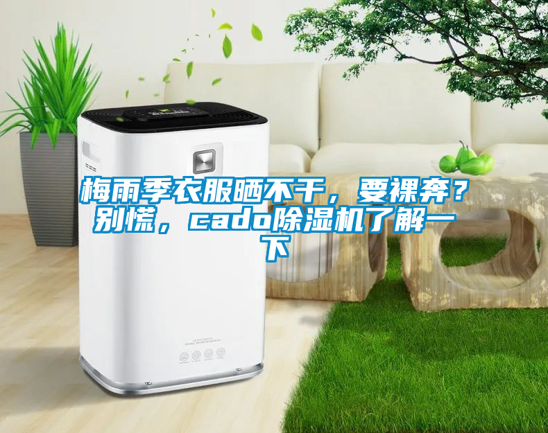 梅雨季衣服曬不干，要裸奔？別慌，cado除濕機(jī)了解一下