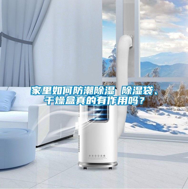 家里如何防潮除濕 除濕袋、干燥盒真的有作用嗎？