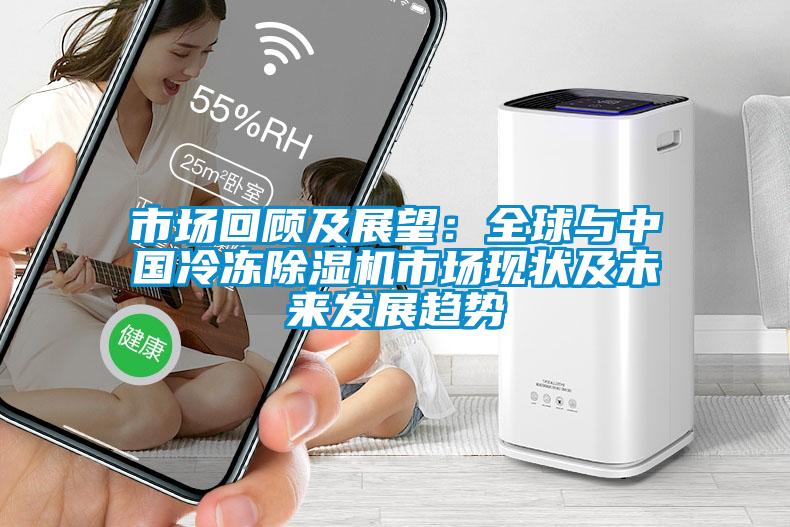 市場回顧及展望：全球與中國冷凍除濕機市場現狀及未來發展趨勢