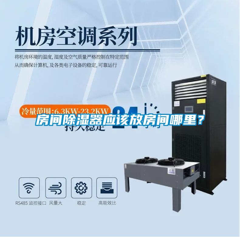 房間除濕器應該放房間哪里？