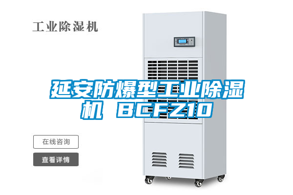 延安防爆型工業除濕機 BCFZ10