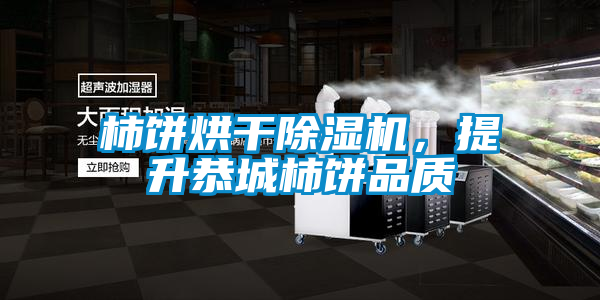 柿餅烘干除濕機，提升恭城柿餅品質