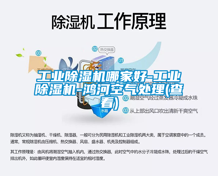 工業除濕機哪家好-工業除濕機-鴻河空氣處理(查看)