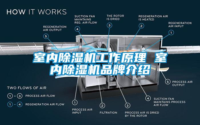 室內除濕機工作原理 室內除濕機品牌介紹