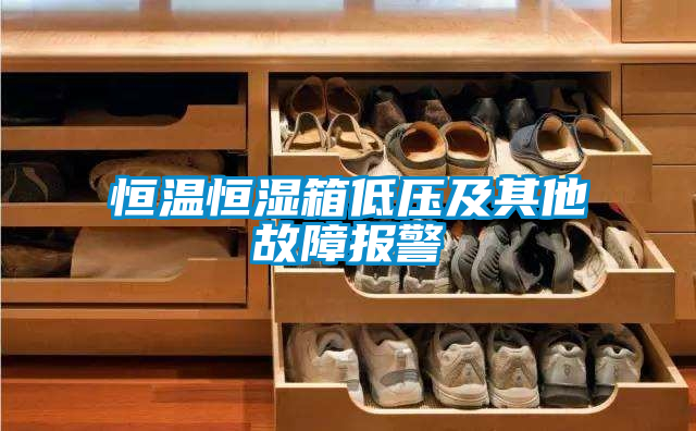 恒溫恒濕箱低壓及其他故障報警