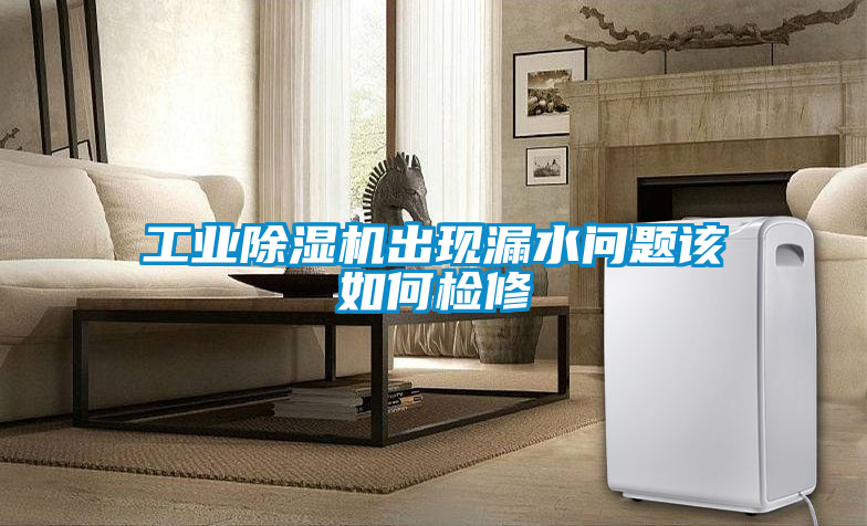 工業除濕機出現漏水問題該如何檢修