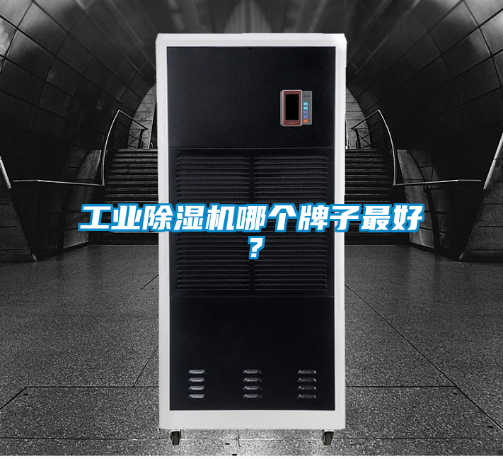 工業除濕機哪個牌子最好？