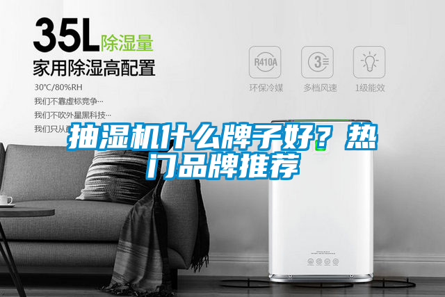 抽濕機(jī)什么牌子好？熱門(mén)品牌推薦
