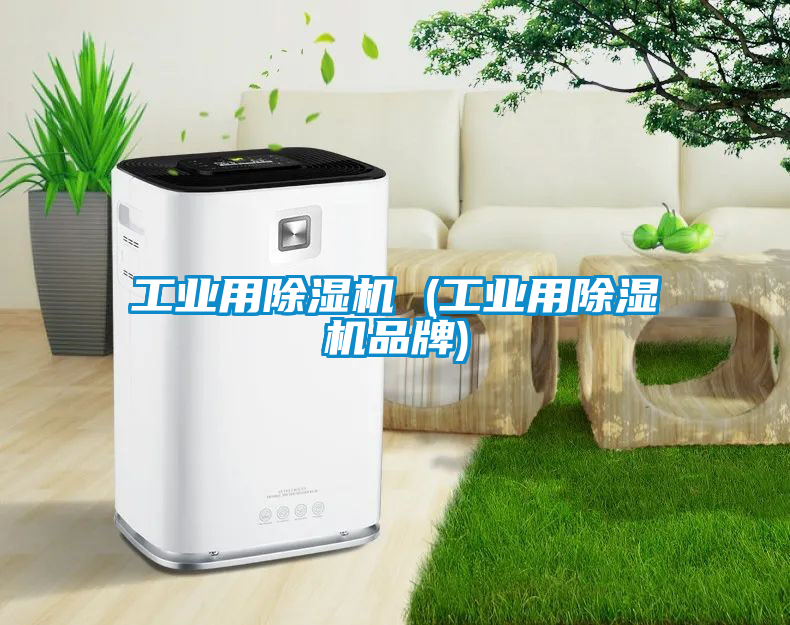 工業用除濕機 (工業用除濕機品牌)